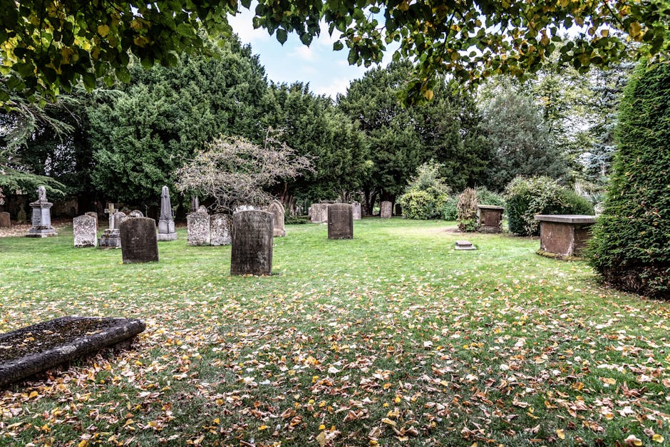 A photograph of an outdoor area featuring a small section of a historic cemetery with several upright headstones made of weathered stone, some with visible inscriptions. The headstones are surrounded 